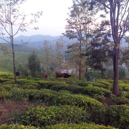 Downtown Inn Ooty Exteriér fotografie