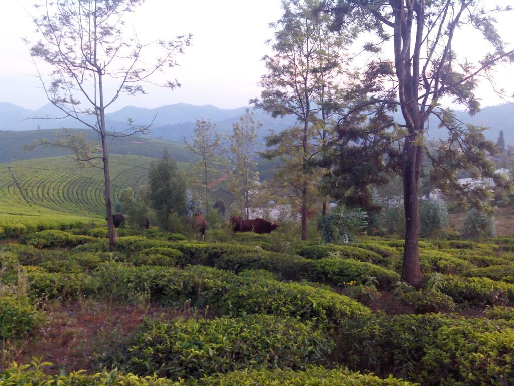 Downtown Inn Ooty Exteriér fotografie